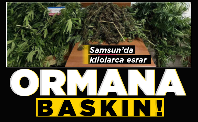 ORMANA BASKIN!