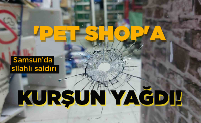 ‘PET SHOP’A KURŞUN YAĞDI!