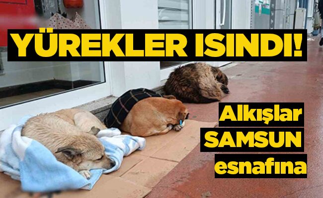 YÜREKLER ISINDI!