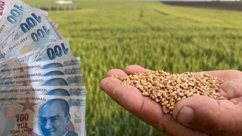 Ziraat Odaları Birliği Açıkladı: Tohum Fiyatları Yüzde 40 Zamlandı!