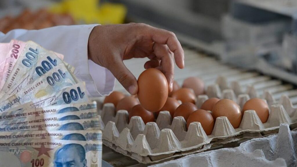 Yumurtaya Yüzde 70 Zam! İşte Rekor Zammın Nedeni!