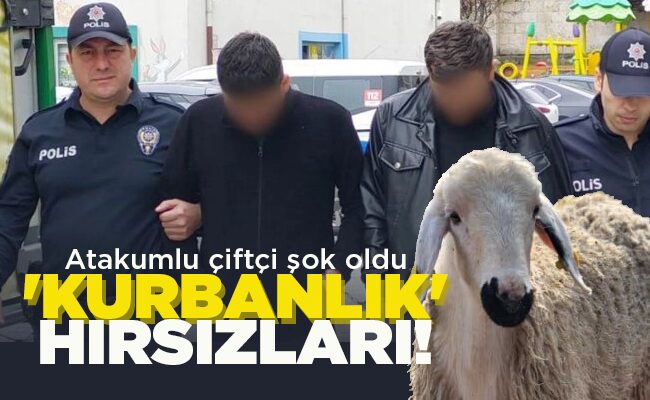 ‘KURBANLIK’ HIRSIZLARI!