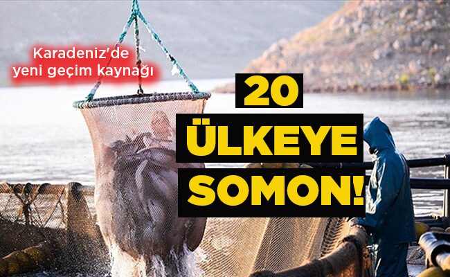 20 ÜLKEYE SOMON!