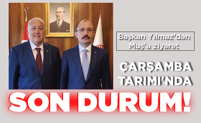 ÇARŞAMBA TARIMI’NDA  SON DURUM!