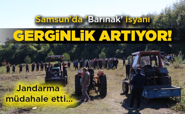 Samsun’da ‘Barınak’ isyanı GERGİNLİK ARTIYOR! Jandarma müdahale etti…