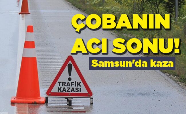 Samsun’da kaza  ÇOBANIN ACI  SONU!
