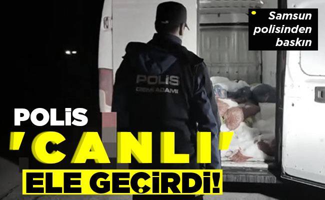 POLİS  ‘CANLI’  ELE GEÇİRDİ!