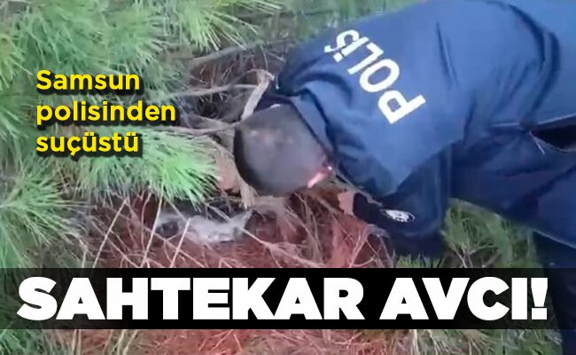 Samsun polisinden suçüstü  SAHTEKAR AVCI!