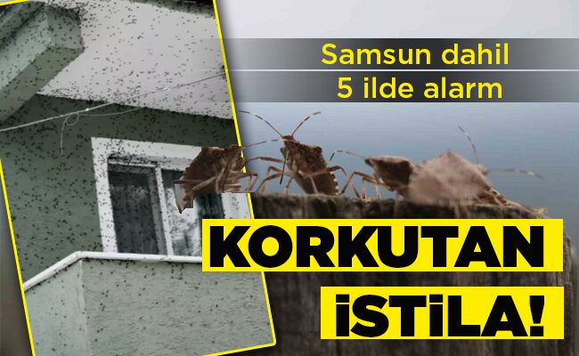 Samsun dahil 5 ilde alarm KORKUTAN İSTİLA!