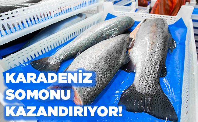 KARADENİZ SOMONU KAZANDIRIYOR!