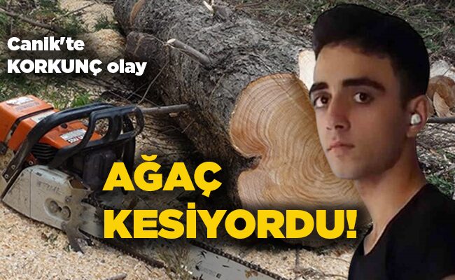 Canik’te KORKUNÇ olay AĞAÇ KESİYORDU!