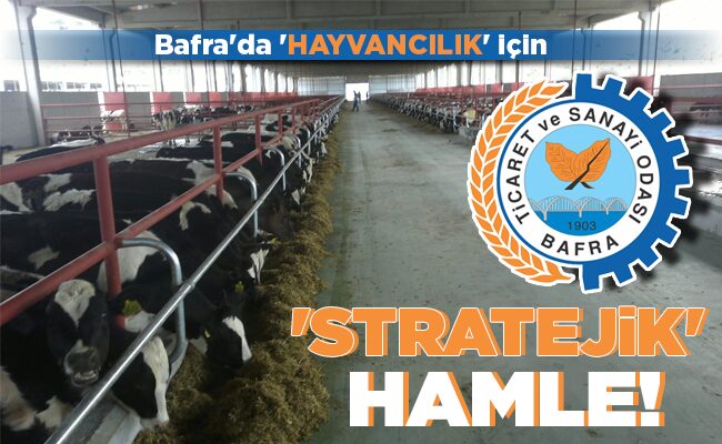 ‘STRATEJİK’ HAMLE!