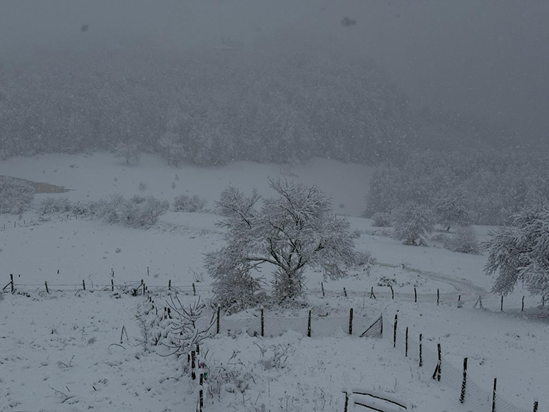 Samsun'da 'KAR' yağışı
EĞİTİME ARA VERİLDİ!
