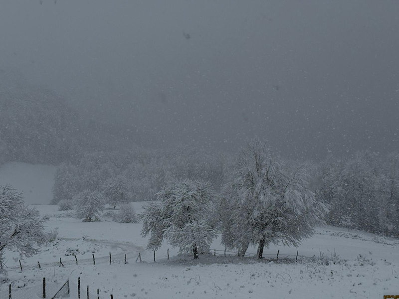 Samsun'da 'KAR' yağışı
EĞİTİME ARA VERİLDİ!