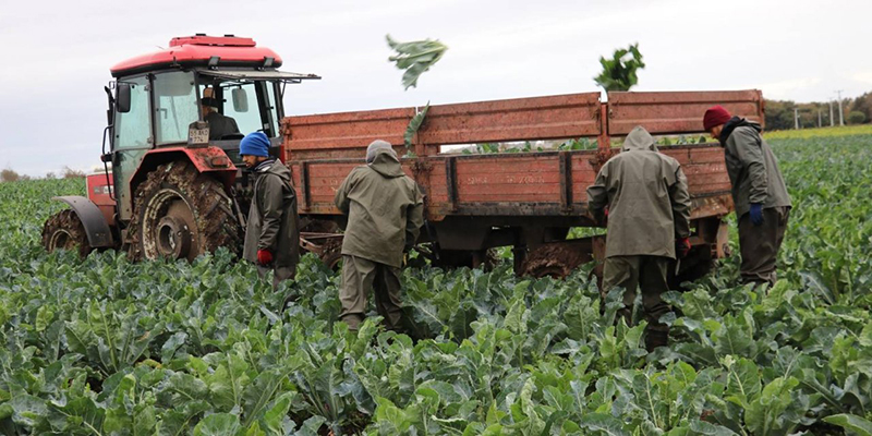 ÜRETİMDE
TÜRKİYE'NİN
LİDERİ
SAMSUN!