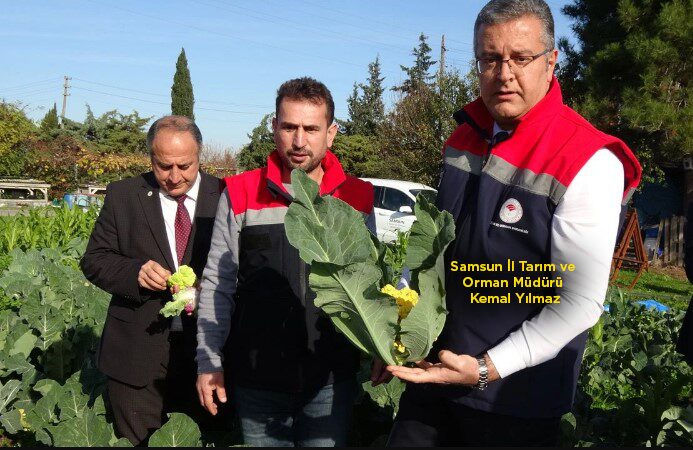 ÜRETİMDE
TÜRKİYE'NİN
LİDERİ
SAMSUN!