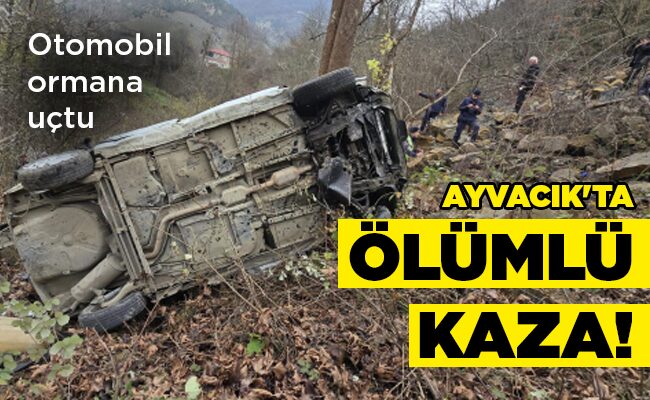 Otomobil ormana uçtu  AYVACIK’TA ÖLÜMLÜ KAZA!