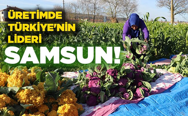 ÜRETİMDE  TÜRKİYE’NİN  LİDERİ SAMSUN!