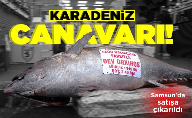 KARADENİZ CANAVARI!