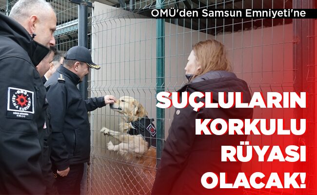 SUÇLULARIN KORKULU RÜYASI OLACAK!