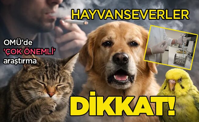OMÜ’de ‘ÇOK ÖNEMLİ’ araştırma HAYVANSEVERLER  DİKKAT!