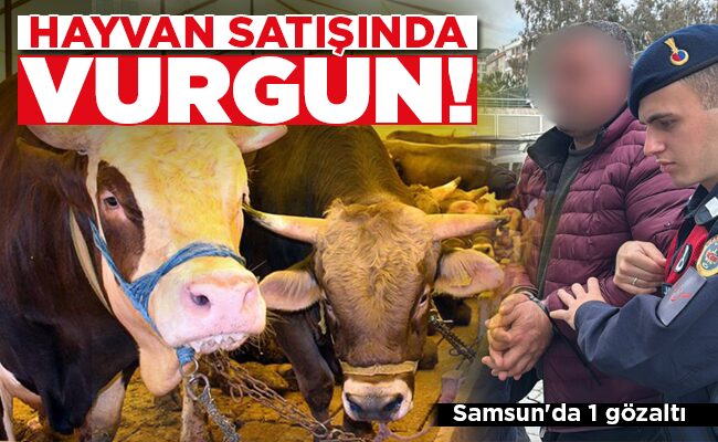 HAYVAN SATIŞINDA VURGUN!