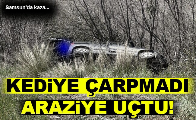 KEDİYE ÇARPMADI ARAZİYE UÇTU!