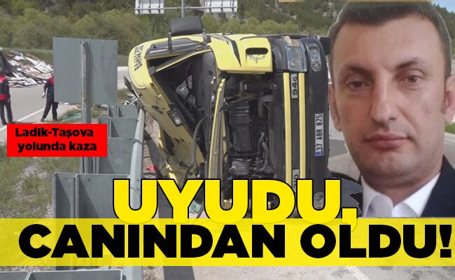 Ladik-Taşova yolunda kaza  UYUDU, CANINDAN OLDU!