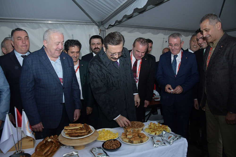 ÇARŞAMBA FINDIĞI