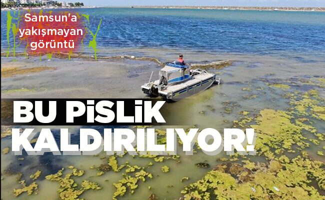 Samsun’a yakışmayan görüntü BU PİSLİK KALDIRILIYOR!