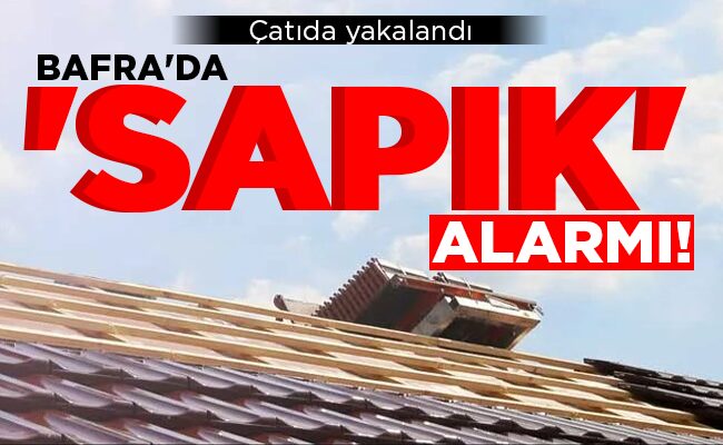 BAFRA’DA ‘SAPIK’ ALARMI!