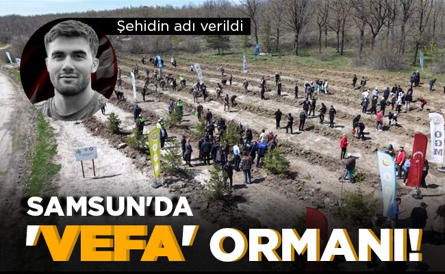 SAMSUN’DA ‘VEFA’ ORMANI!