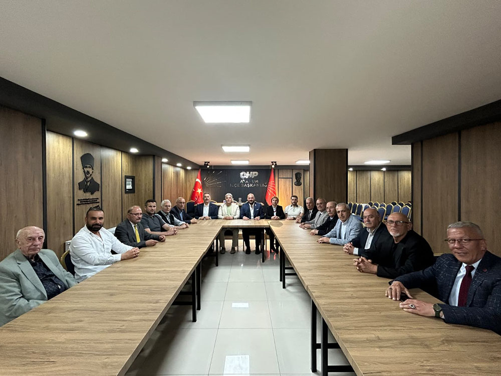 ÖRGÜT İRADESİ