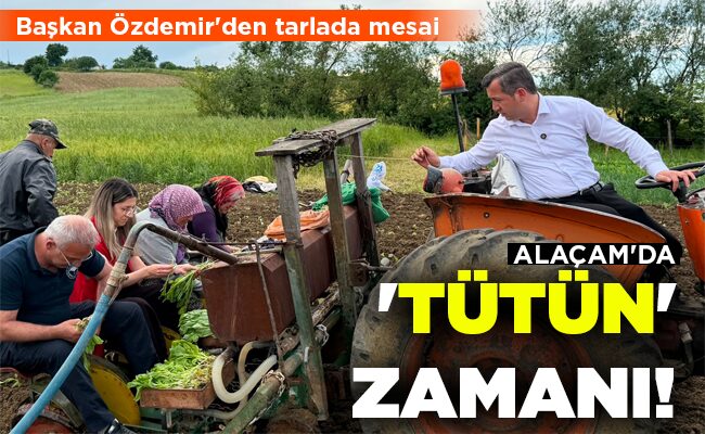 ALAÇAM’DA ‘TÜTÜN’ ZAMANI!