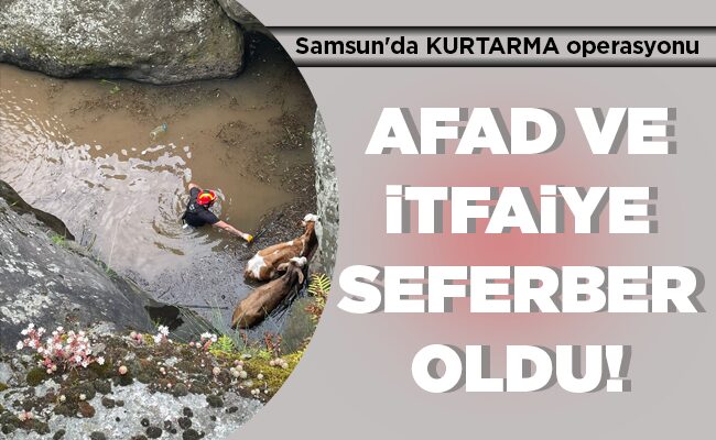 AFAD VE İTFAİYE SEFERBER OLDU!