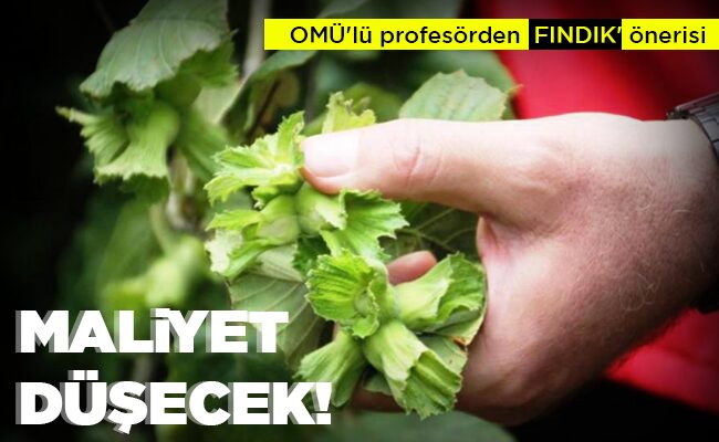 MALİYET DÜŞECEK!