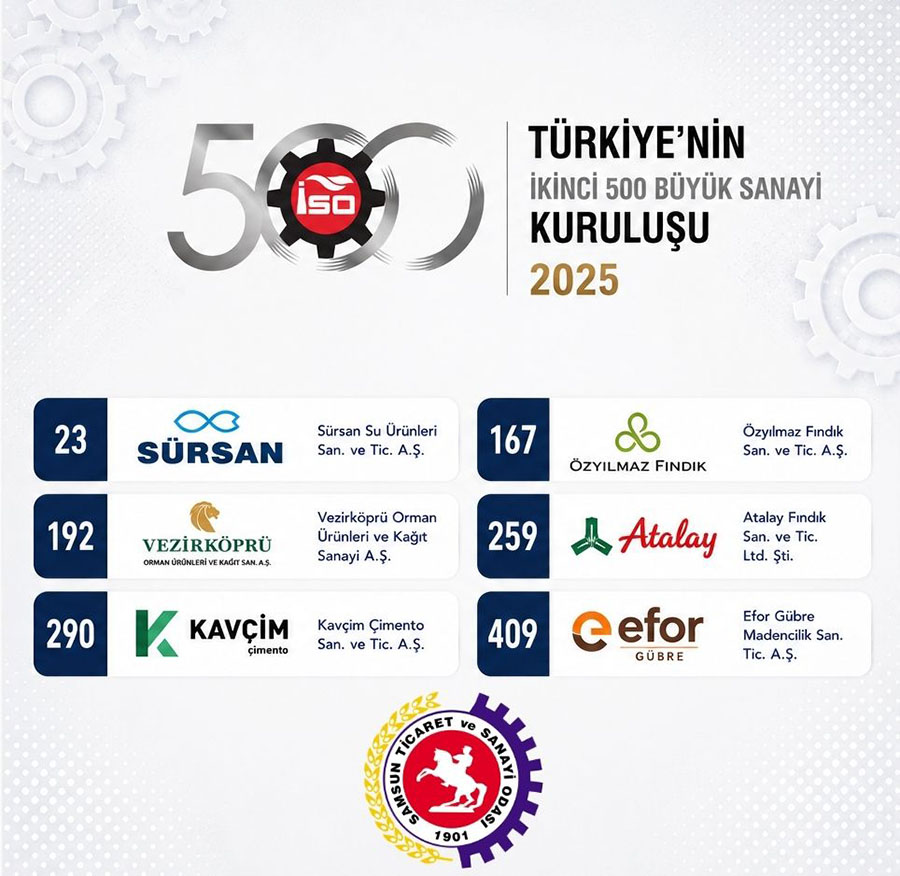SAMSUN