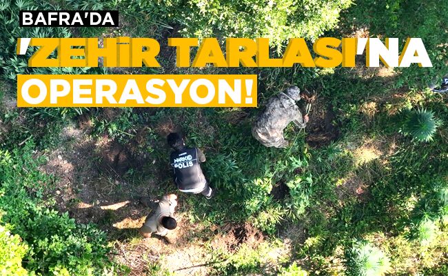 ‘ZEHİR TARLASI’NA  OPERASYON!