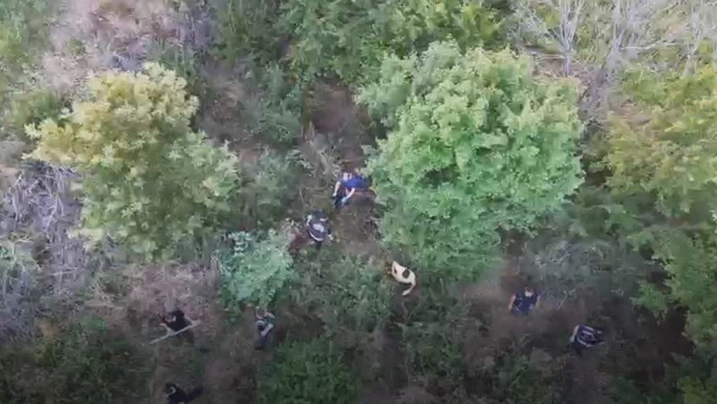 Samsun polisi havadan İZ sürdü BAFRA’DA DEV OPERASYON!