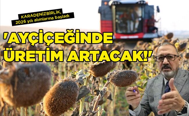 KARADENİZBİRLİK, 2026 yılı alımlarına başladı  ‘AYÇİÇEĞİNDE  ÜRETİM  ARTACAK!’