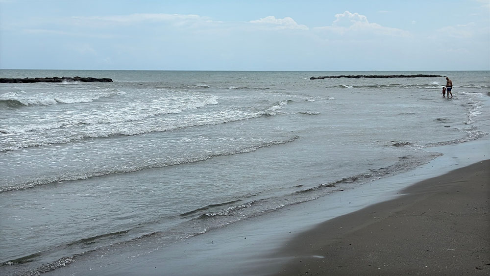 CAN PAZARI