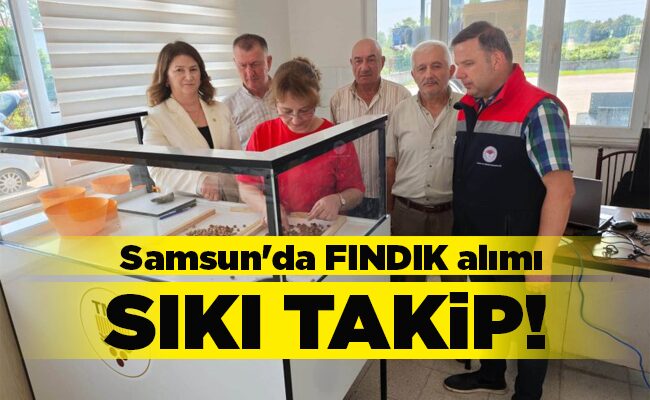 Samsun’da FINDIK alımı  SIKI TAKİP!