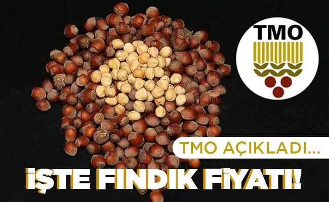 İŞTE FINDIK FİYATI!