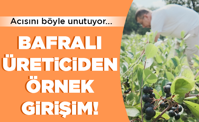BAFRALI ÜRETİCİDEN ÖRNEK GİRİŞİM!