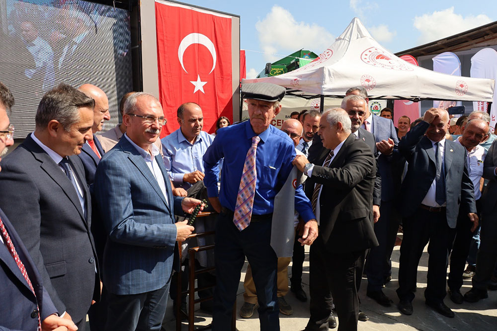 'ÇELTİK