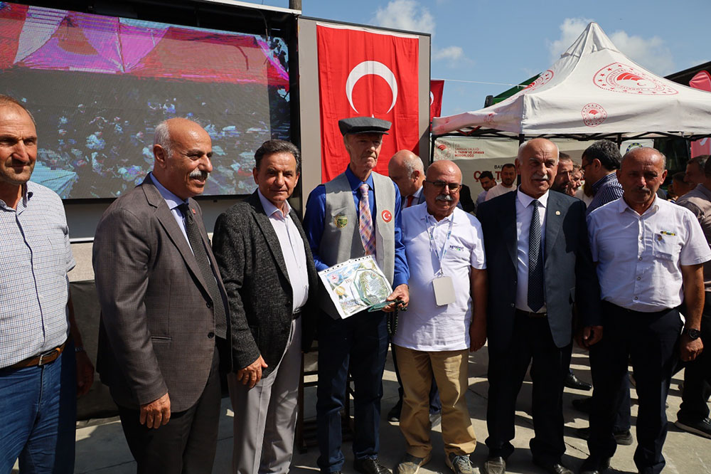'ÇELTİK