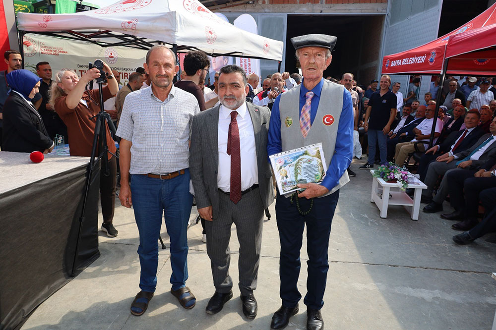 'ÇELTİK