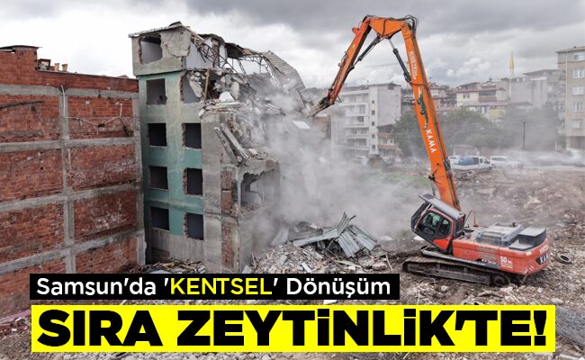 SIRA ZEYTİNLİK’TE!