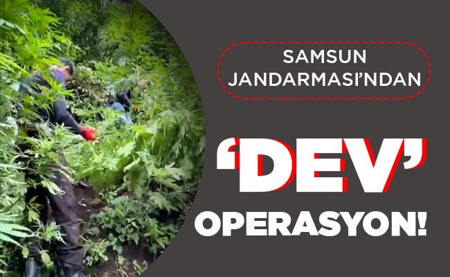SAMSUN JANDARMASI’NDAN ‘DEV’ OPERASYON!