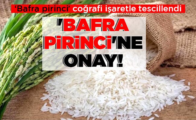 ‘BAFRA PİRİNCİ’NE  ONAY!